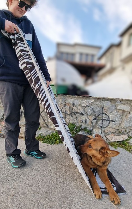 A German Shepherd dog lying on a zebra-print blanket on the pavement outside a café, with their owner sitting nearby. Stone wall and buildings visible in the background.