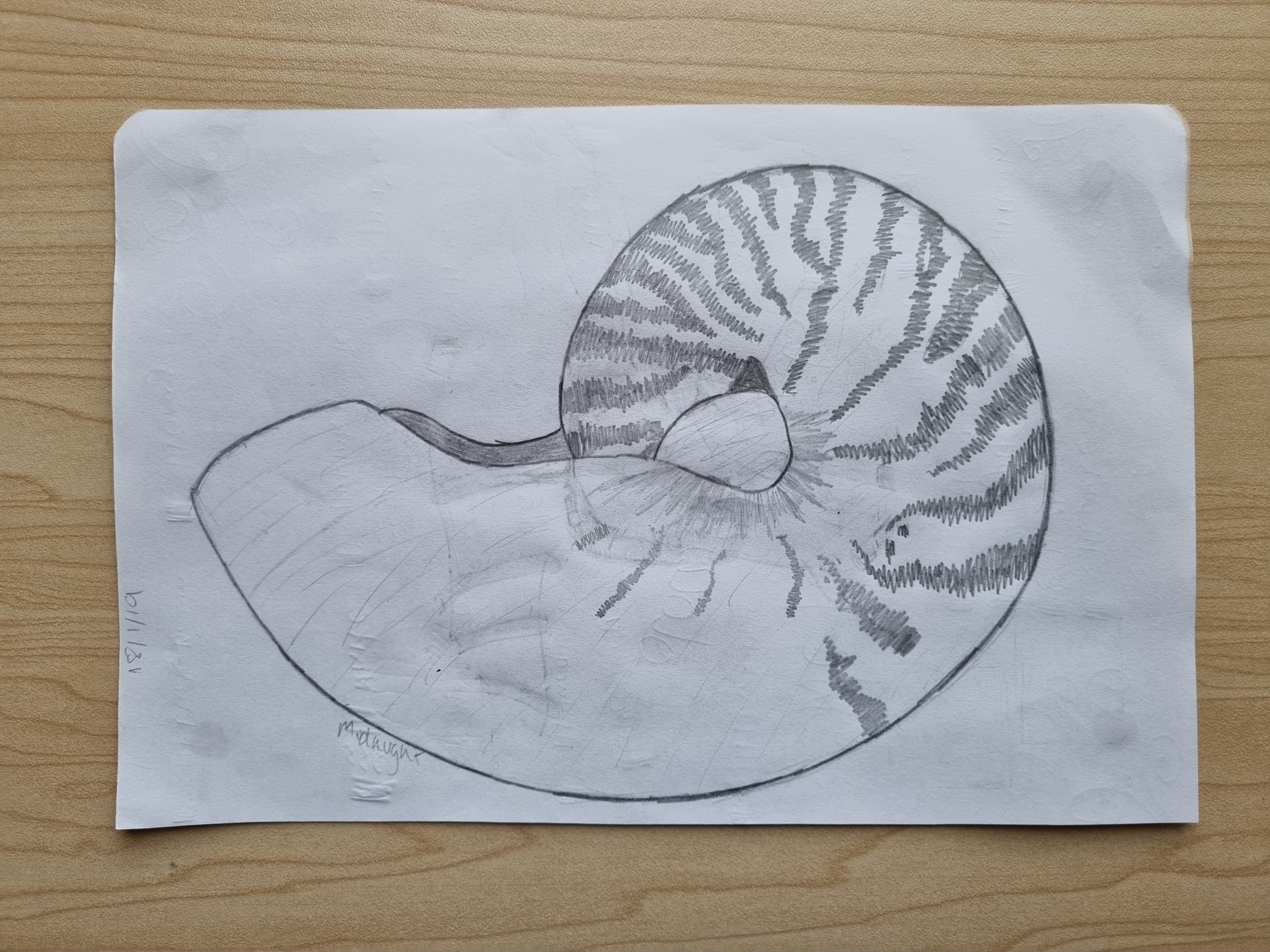 Traditional drawing by Zachary Kai (108)